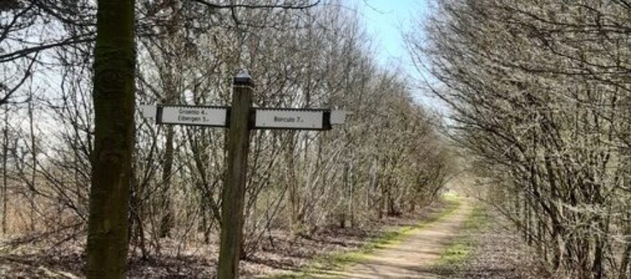 2025-04-05 _ wandeltocht